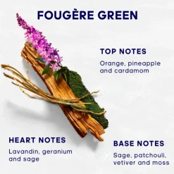 Adidas UEFA 11 Eau de Toilette 50 ml