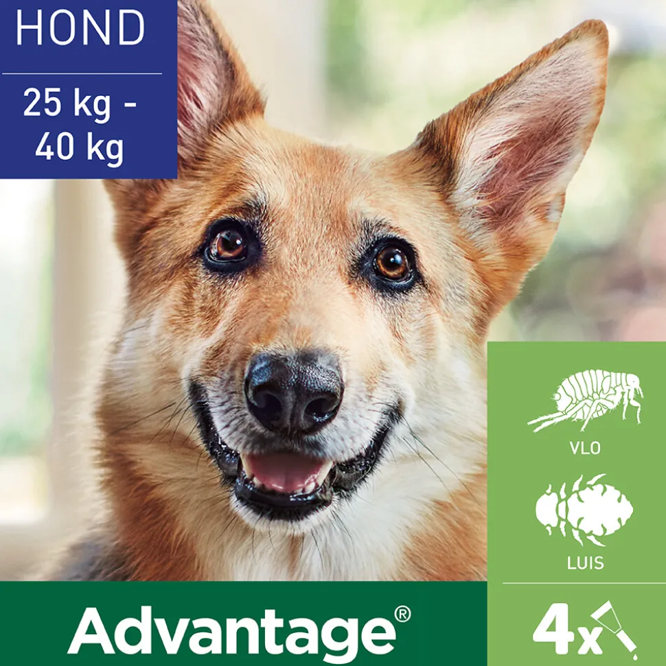Advantage Anti Vlooiendruppels 400 Hond 25 - 40 kg 4 pipetten