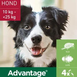 Advantage Anti Vlooiendruppels 250 Hond 10 - 25 kg 4 pipetten