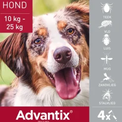 Advantix Spot On 250 Anti Vlooien en Teken Druppels Hond 10 - 25 kg 4 pipetten