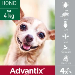 Advantix Spot On 40 Anti Vlooien en Teken Druppels Hond tot 4 kg 4 pipetten
