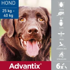 Advantix Spot On 400 Anti Vlooien en Teken Druppels Hond 25 - 40 kg 6 pipetten