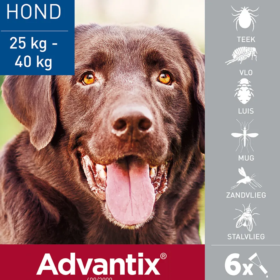 Advantix Spot On 400 Anti Vlooien en Teken Druppels Hond 25 - 40 kg 6 pipetten