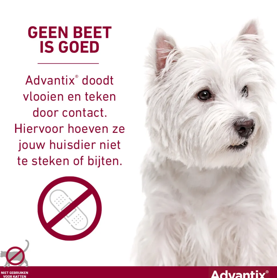 Advantix Spot On 400 Anti Vlooien en Teken Druppels Hond 25 - 40 kg 6 pipetten