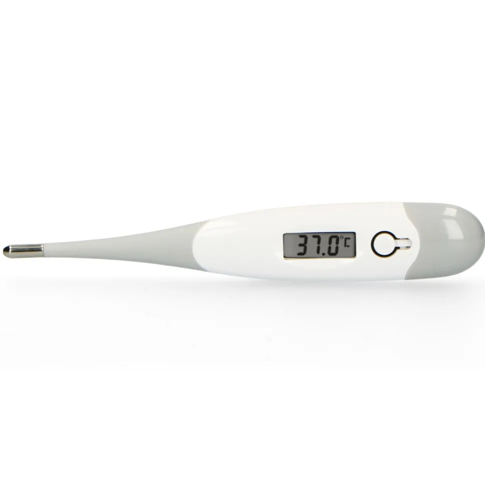 Alecto BC-19GS Thermometer