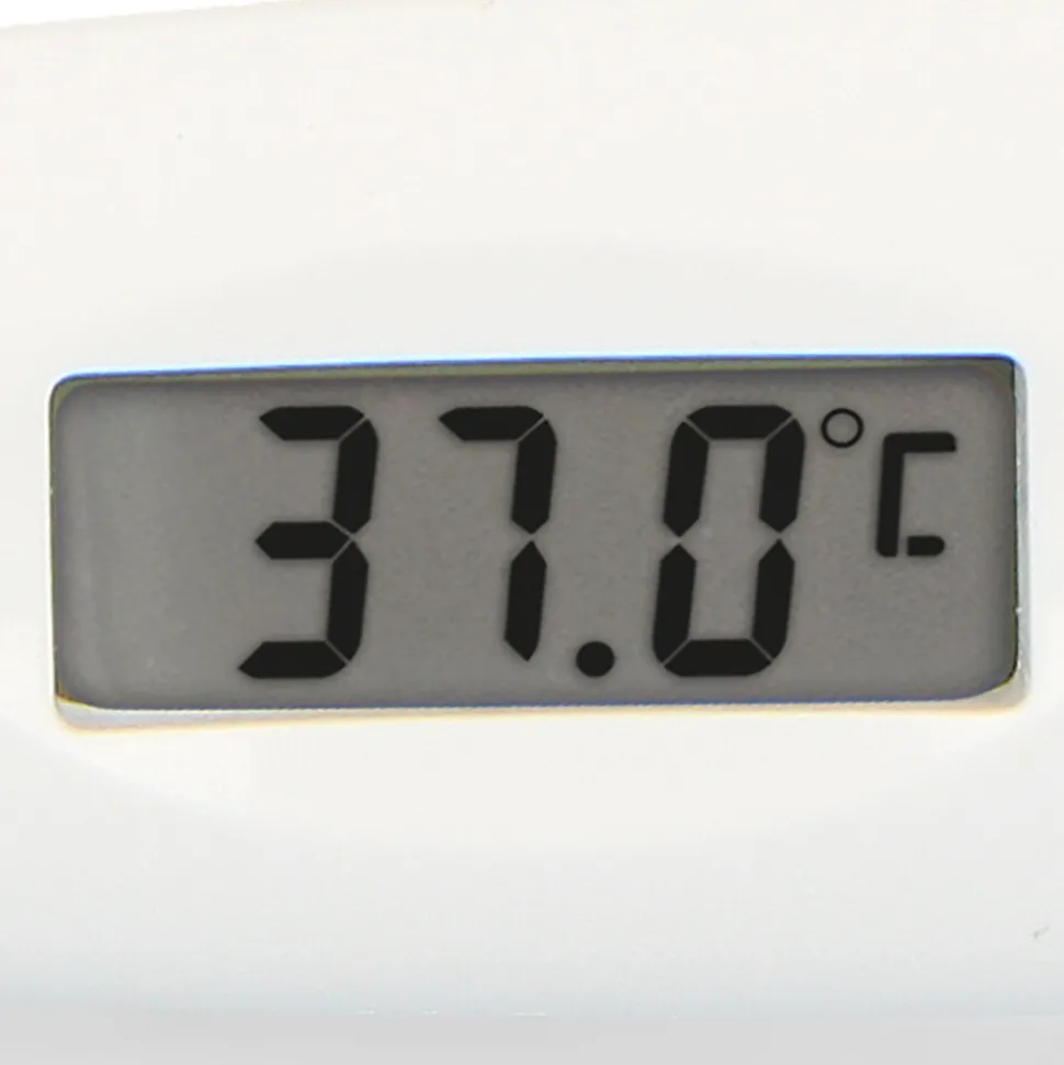 Alecto BC-19GS Thermometer