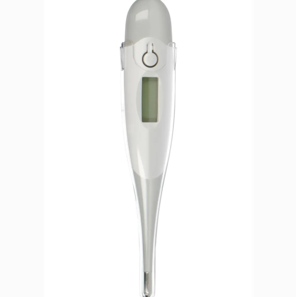 Alecto BC-19GS Thermometer