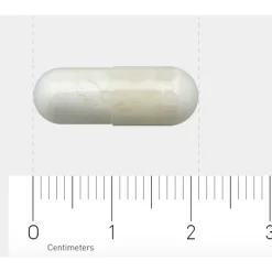 AOV 502 Calcium Pyruvaat (500 mg) 60 vegacapsules