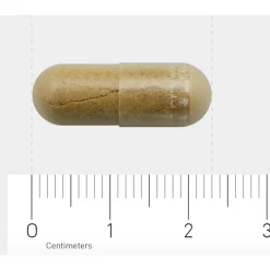 AOV 1018 Stressnorm 60 vegacapsules