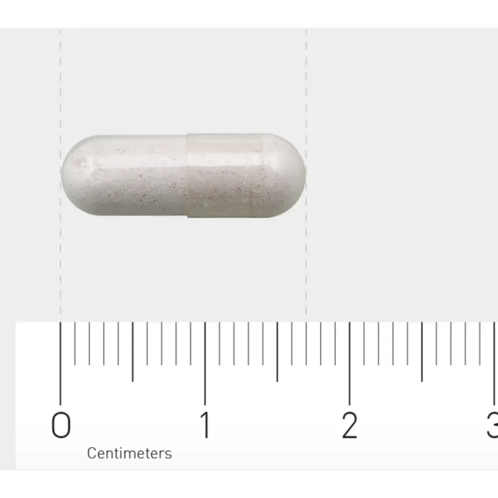 AOV 250 Vitamine B12 & Foliumzuur (800 mcg) 60 vegacapsules