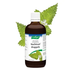 A.Vogel Dormeasan Nachtrust Citroenmelisse 100 ml