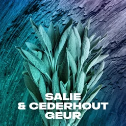 Axe Deodorant Bodyspray Apollo 150 ml