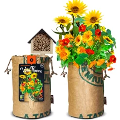 Baza Bio Wildbloemen Met Insectenhotel Oranje
