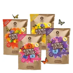 Baza Bloemen Explosie Bloementapijt Pakket