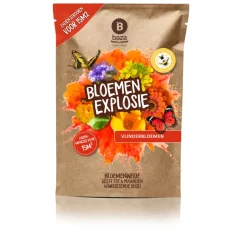 Baza Bloemen Explosie Vlinders 15 m2