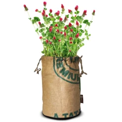 Baza Butterflies Kweektas Bio Incarnaat Klaver