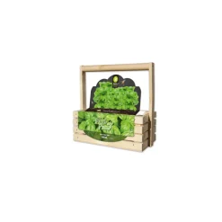 Baza Fresh Farm Basilicum