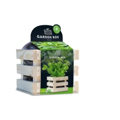 Baza Garden Box Bio Munt