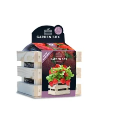 Baza Garden Box Strawberry Reuze Aardbei
