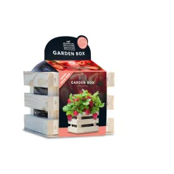 Baza Garden Box Strawberry Extra Zoete Aardbei