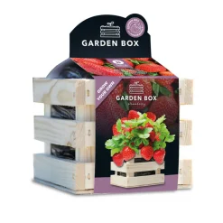 Baza Gardenbox Set Aardbeien 1 set