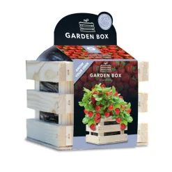 Baza Gardenbox Set Aardbeien 1 set