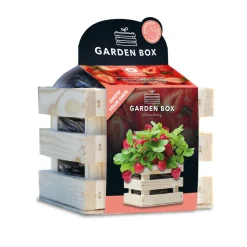 Baza Gardenbox Set Aardbeien 1 set