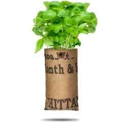 Baza Hangtuin Bio Basilicum