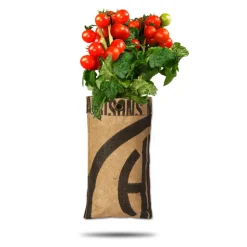 Baza Hangtuin Bio Cherry Tomaatjes