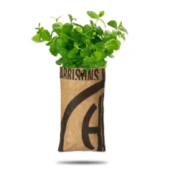 Baza Hangtuin Bio Munt