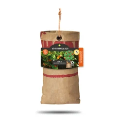 Baza Hangtuintjes Set Bloemen 1 set