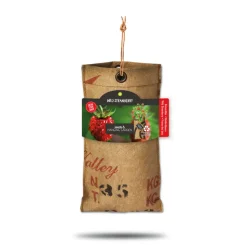 Baza Hangtuintjes Set Groenten 1 set