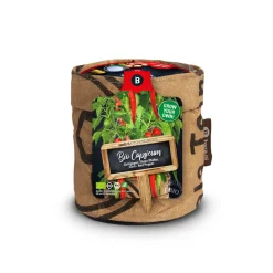 Baza Keukentuintje Bio Chilipeper