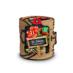 Baza Keukentuintje Bio Tomato Cerise