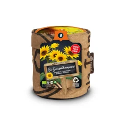 Baza Keukentuintje Bio Zonnebloem