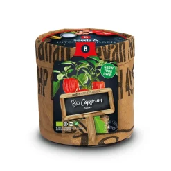 Baza Keukentuintjes Set Kruiden Groot 1 set