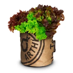 Baza Kindertuintje Greensquad Knapperige Sla