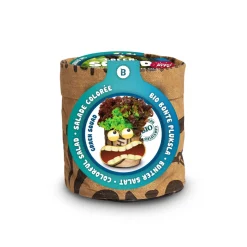 Baza Kindertuintje Greensquad Knapperige Sla