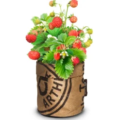 Baza Kindertuintje Greensquad Zoete Aardbeitjes