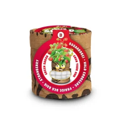 Baza Kindertuintje Greensquad Zoete Aardbeitjes