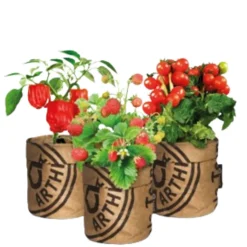 Baza Moestuin Kweek Pakket