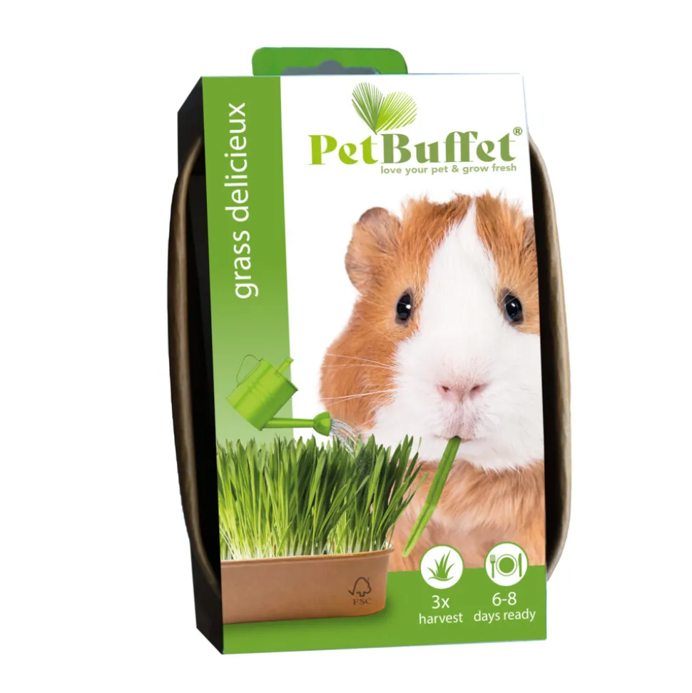 Baza Pet-Buffet Delisieux Cavia Set 3 x Kweken