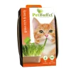 Baza Pet-Buffet Kattengras Rich & Tasty Poes Set 3 x Kweken