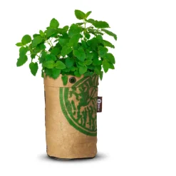 Baza Tea Garden Bio Citroenmelisse