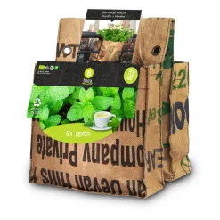 Baza Urban Garden Balkontuin Munt & Camille