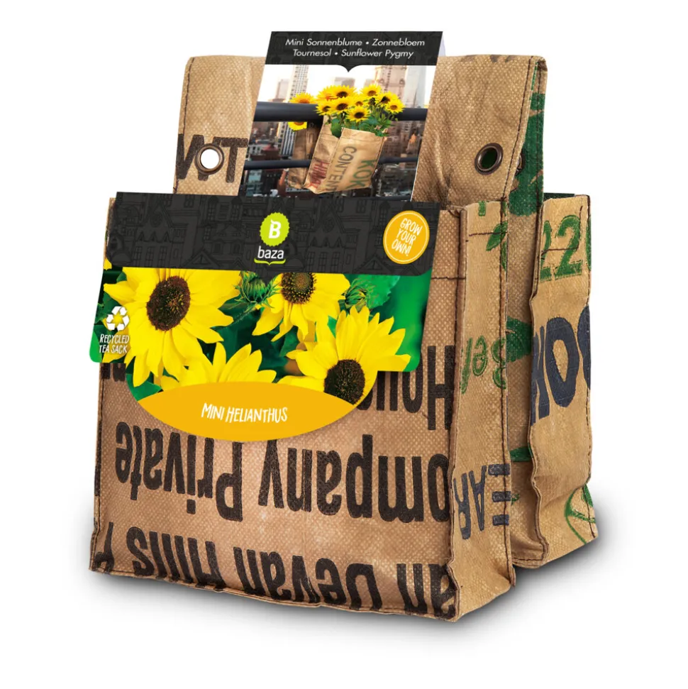 Baza Urban Garden Balkontuin 2 Soorten Zonnebloemen