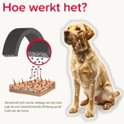 Beaphar Canishield Anti Vlooien en Tekenband Hond L 65 cm