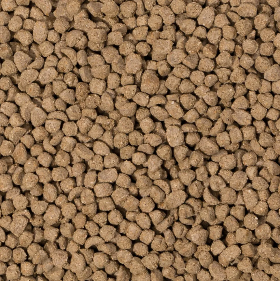 Beaphar Care+ Konijn Junior 1,5 kg