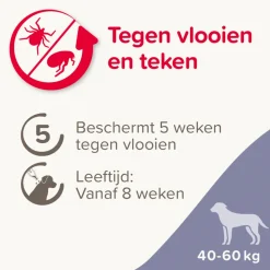Beaphar Fiprotec Anti Teken- & Vlooiendruppels Hond 40 - 60 kg 4 stuks