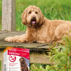 Beaphar Fiprotec Anti Teken- & Vlooiendruppels Hond 40 - 60 kg 4 stuks